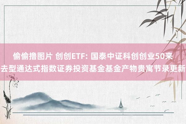 偷偷撸图片 创创ETF: 国泰中证科创创业50来去型通达式指数证券投资基金基金产物贵寓节录更新