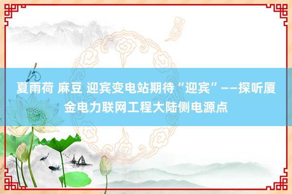 夏雨荷 麻豆 迎宾变电站期待“迎宾”——探听厦金电力联网工程大陆侧电源点