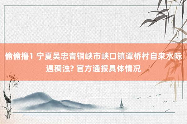 偷偷撸1 宁夏吴忠青铜峡市峡口镇谭桥村自来水际遇稠浊? 官方通报具体情况