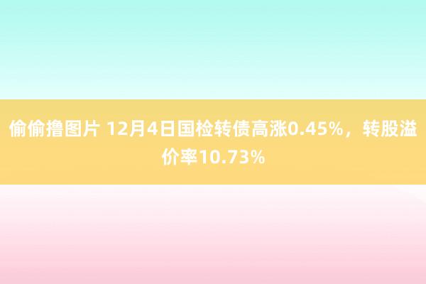 偷偷撸图片 12月4日国检转债高涨0.45%，转股溢价率10.73%