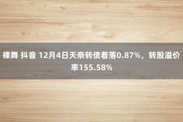 裸舞 抖音 12月4日天奈转债着落0.87%，转股溢价率155.58%