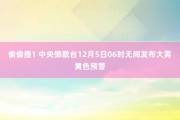 偷偷撸1 中央懒散台12月5日06时无间发布大雾黄色预警