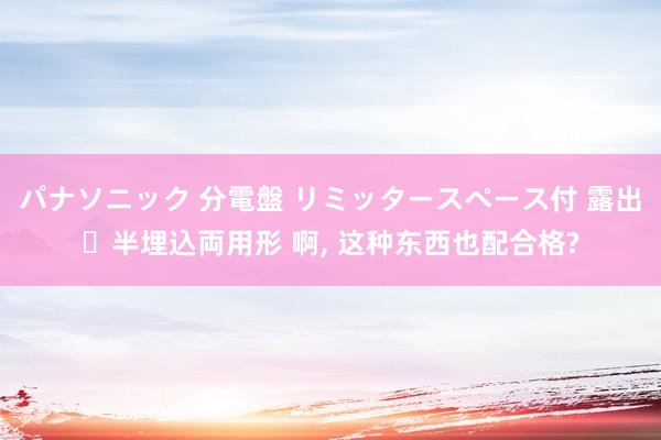 パナソニック 分電盤 リミッタースペース付 露出・半埋込両用形 啊, 这种东西也配合格?