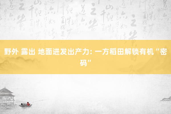 野外 露出 地面迸发出产力: 一方稻田解锁有机“密码”