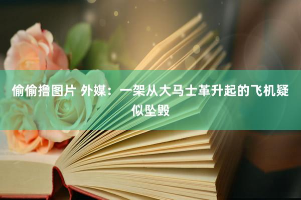 偷偷撸图片 外媒：一架从大马士革升起的飞机疑似坠毁