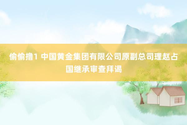 偷偷撸1 中国黄金集团有限公司原副总司理赵占国继承审查拜谒