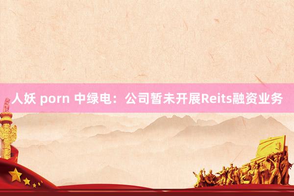 人妖 porn 中绿电：公司暂未开展Reits融资业务