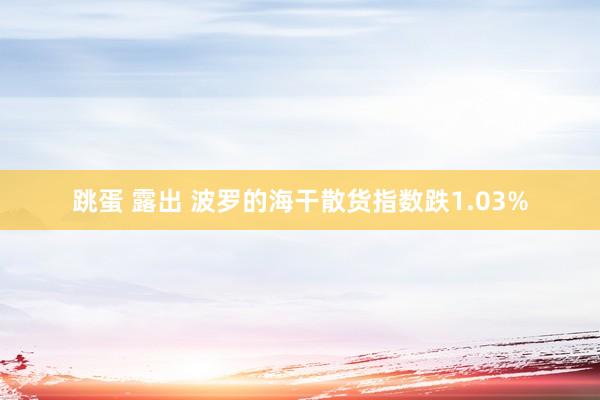 跳蛋 露出 波罗的海干散货指数跌1.03%