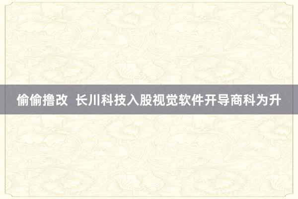 偷偷撸改  长川科技入股视觉软件开导商科为升