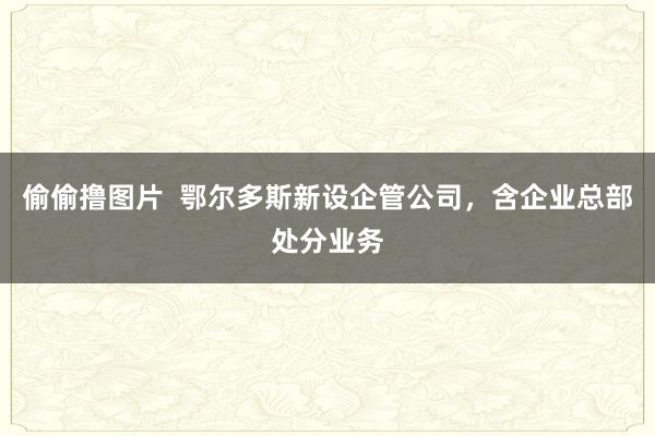 偷偷撸图片  鄂尔多斯新设企管公司，含企业总部处分业务