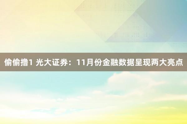 偷偷撸1 光大证券：11月份金融数据呈现两大亮点