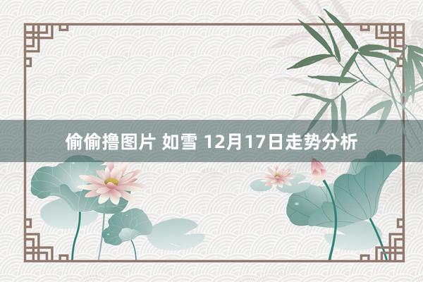 偷偷撸图片 如雪 12月17日走势分析