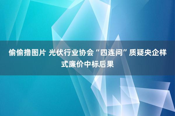 偷偷撸图片 光伏行业协会“四连问”质疑央企样式廉价中标后果