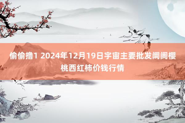 偷偷撸1 2024年12月19日宇宙主要批发阛阓樱桃西红柿价钱行情