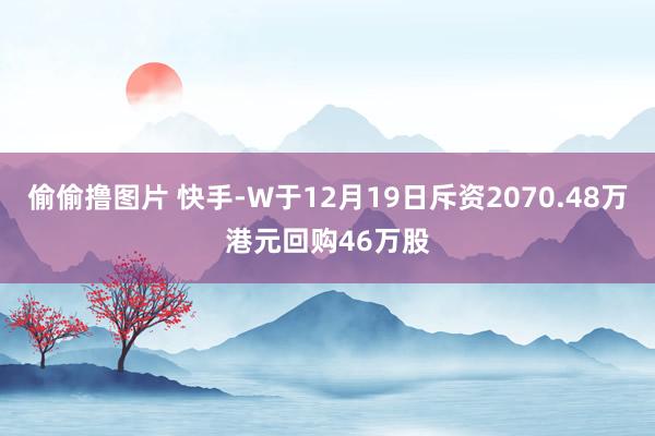 偷偷撸图片 快手-W于12月19日斥资2070.48万港元回购46万股