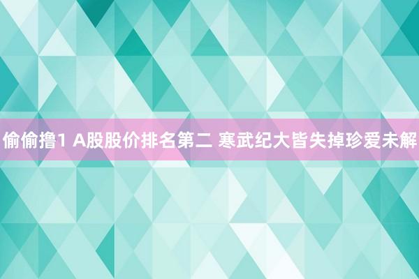 偷偷撸1 A股股价排名第二 寒武纪大皆失掉珍爱未解