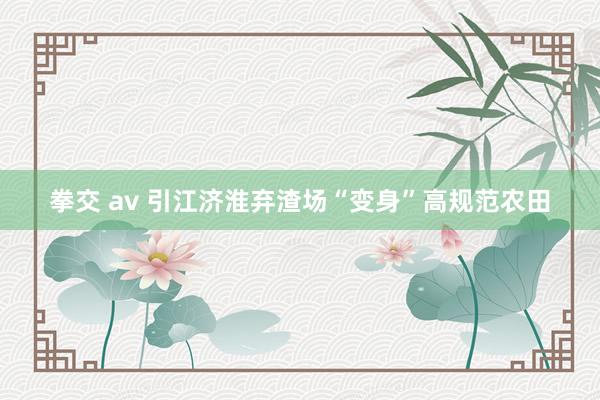 拳交 av 引江济淮弃渣场“变身”高规范农田