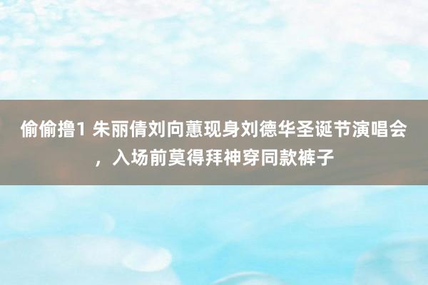 偷偷撸1 朱丽倩刘向蕙现身刘德华圣诞节演唱会，入场前莫得拜神穿同款裤子