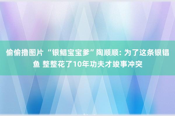 偷偷撸图片 “银鲳宝宝爹”陶顺顺: 为了这条银锠鱼 整整花了10年功夫才竣事冲突