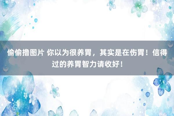 偷偷撸图片 你以为很养胃，其实是在伤胃！信得过的养胃智力请收好！