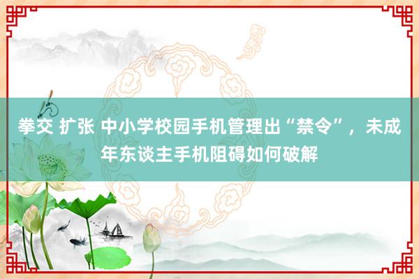 拳交 扩张 中小学校园手机管理出“禁令”，未成年东谈主手机阻碍如何破解