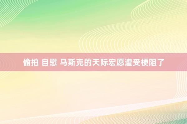 偷拍 自慰 马斯克的天际宏愿遭受梗阻了