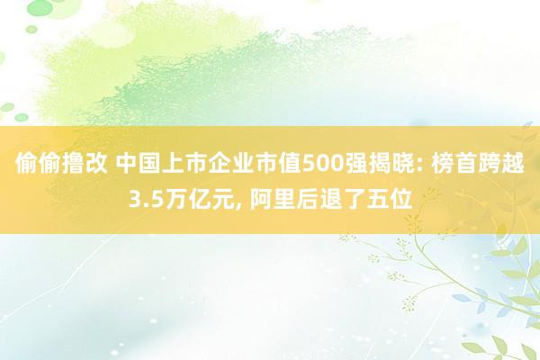 偷偷撸改 中国上市企业市值500强揭晓: 榜首跨越3.5万亿元， 阿里后退了五位