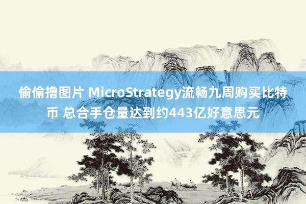 偷偷撸图片 MicroStrategy流畅九周购买比特币 总合手仓量达到约443亿好意思元