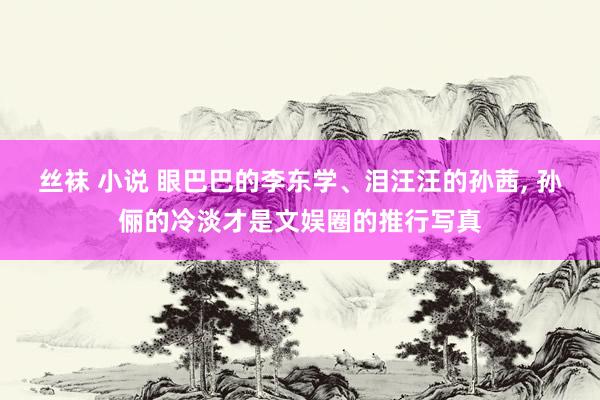 丝袜 小说 眼巴巴的李东学、泪汪汪的孙茜， 孙俪的冷淡才是文娱圈的推行写真