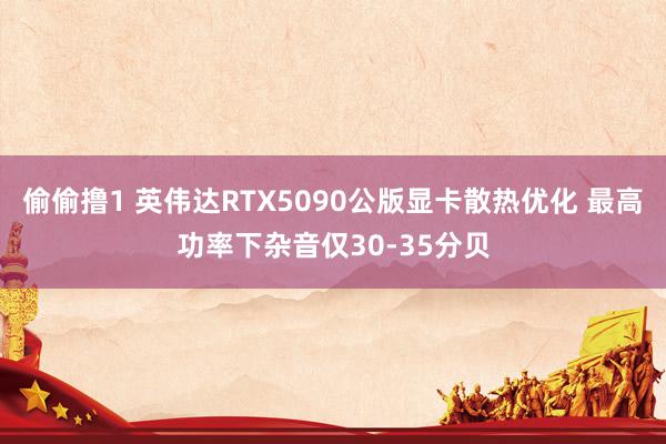 偷偷撸1 英伟达RTX5090公版显卡散热优化 最高功率下杂音仅30-35分贝