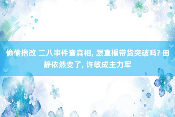 偷偷撸改 二八事件查真相， 跟直播带货突破吗? 田静依然变了， 许敏成主力军