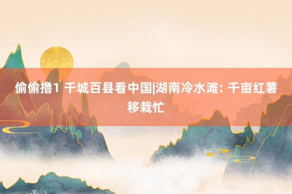 偷偷撸1 千城百县看中国|湖南冷水滩: 千亩红薯移栽忙