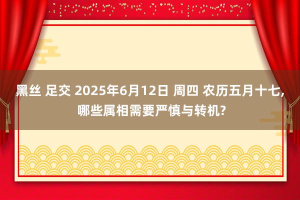 黑丝 足交 2025年6月12日 周四 农历五月十七, 哪些属相需要严慎与转机?