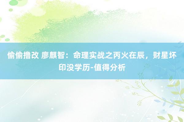 偷偷撸改 廖麒智：命理实战之丙火在辰，财星坏印没学历-值得分析